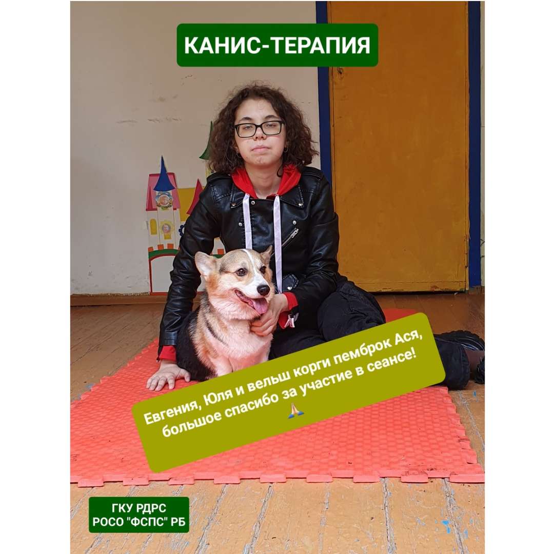 Большое спасибо за участие в сеансе канис-терапии! 🙏🏻